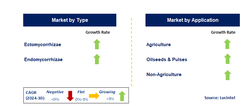 Mycorrhizae-Based Biofertilizers by Segment